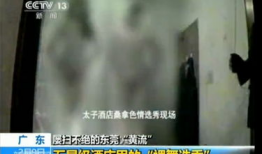 黄色一级视频播放,深度解析其内容与影响