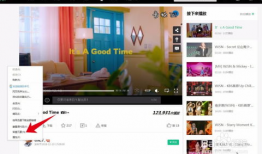 网站视频下载,轻松掌握网站视频下载技巧