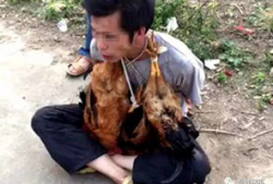 搞鸡视频,揭秘现代年轻人的趣味生活