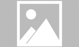 性感视频在线观看