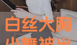 白浆视频,揭秘传统工艺与现代生活的完美融合