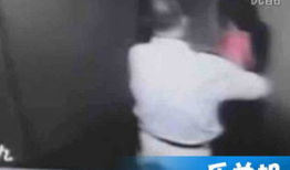 成人啪啪啪视频,探索成人情感与生理的私密旅程