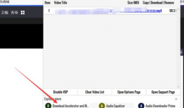 网站视频下载,轻松掌握网站视频下载技巧