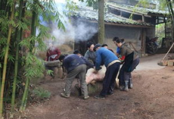 农村杀猪视频,传统习俗与现代生活的碰撞